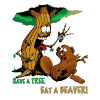Beaver