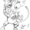 kung-fu_monkey