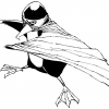 penguin